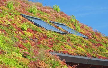 Swinhope living roof systems