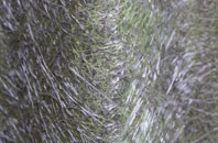 Swinhope fibreglass roof work